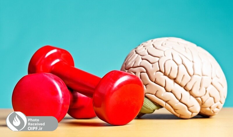 فعالیت بدنی و تاثیر آن بر روی مغز