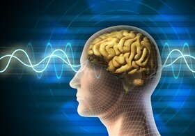 ۹ حقیقت جالب و مهم از تاثیر رفتار انسان بر مغز