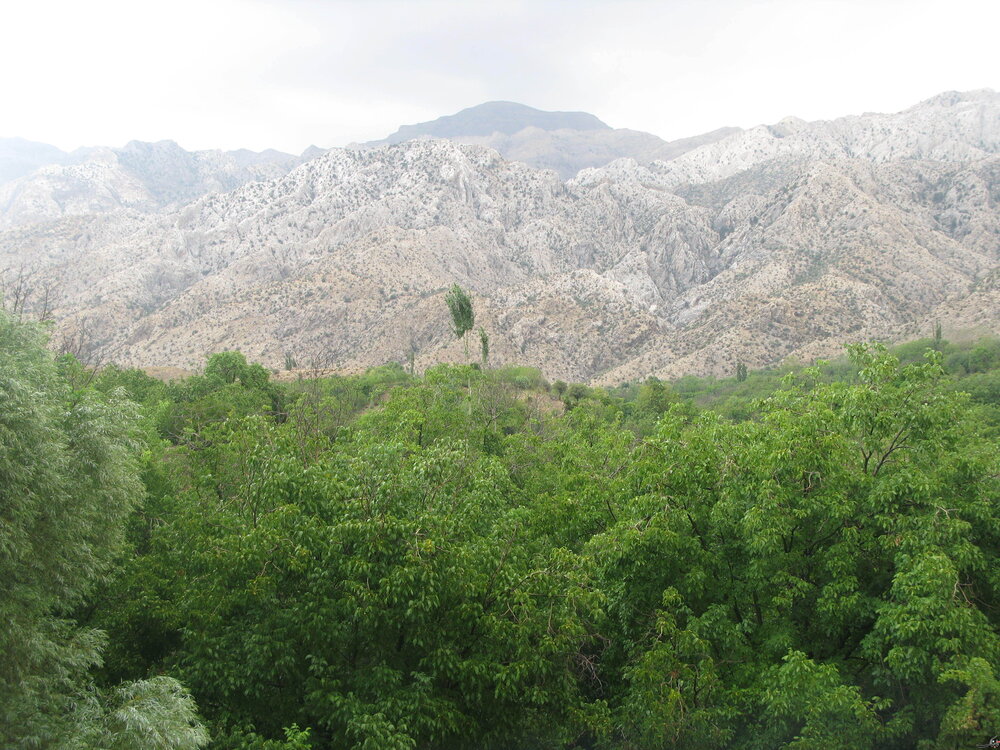 روستای خبر