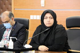 هفتمین نشست شورای عالی خدمات