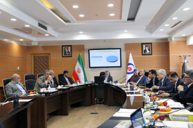 ارائه گزارش پتروشیمی دهلران در هیئت‌رئیسه صندوق‌ها