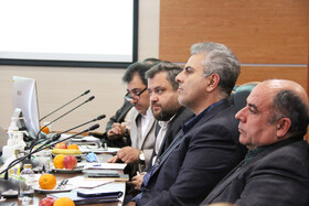 ارائه گزارش پتروشیمی دهلران در هیئت‌رئیسه صندوق‌ها